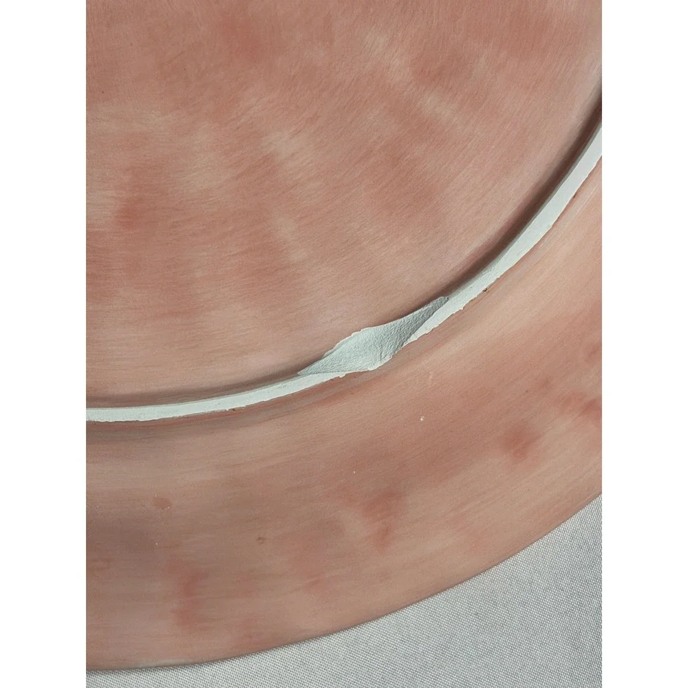 Tabletops Lifestyles Como Hand Painted Floral Dinner Plate Pink Cream Ceramic